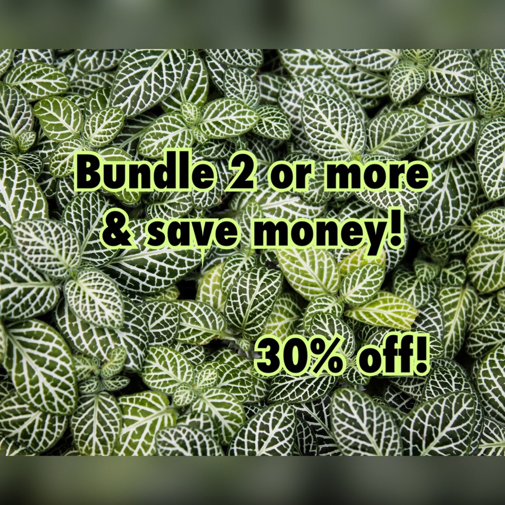 Bundle 2 or more items & save 30%